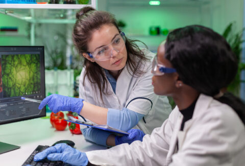 Medical team researchers talking about vegetarian meat