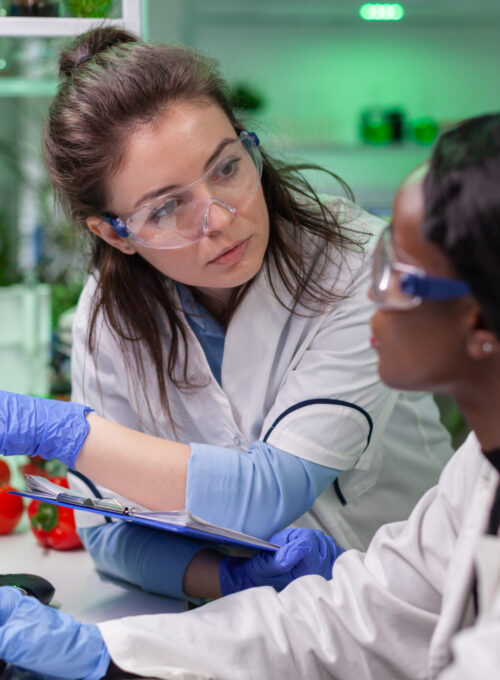 Medical team researchers talking about vegetarian meat