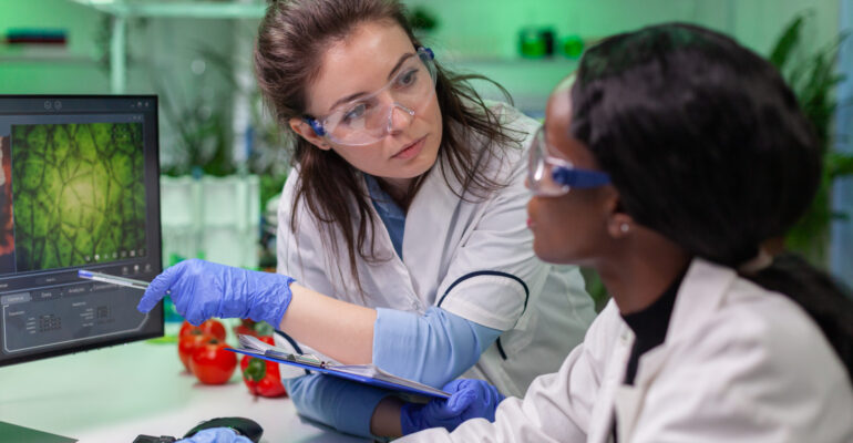 Medical team researchers talking about vegetarian meat